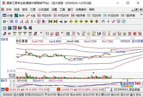 遠達控股強勢漲停，業績大幅預增與國內貿易代理業務成關鍵驅動力